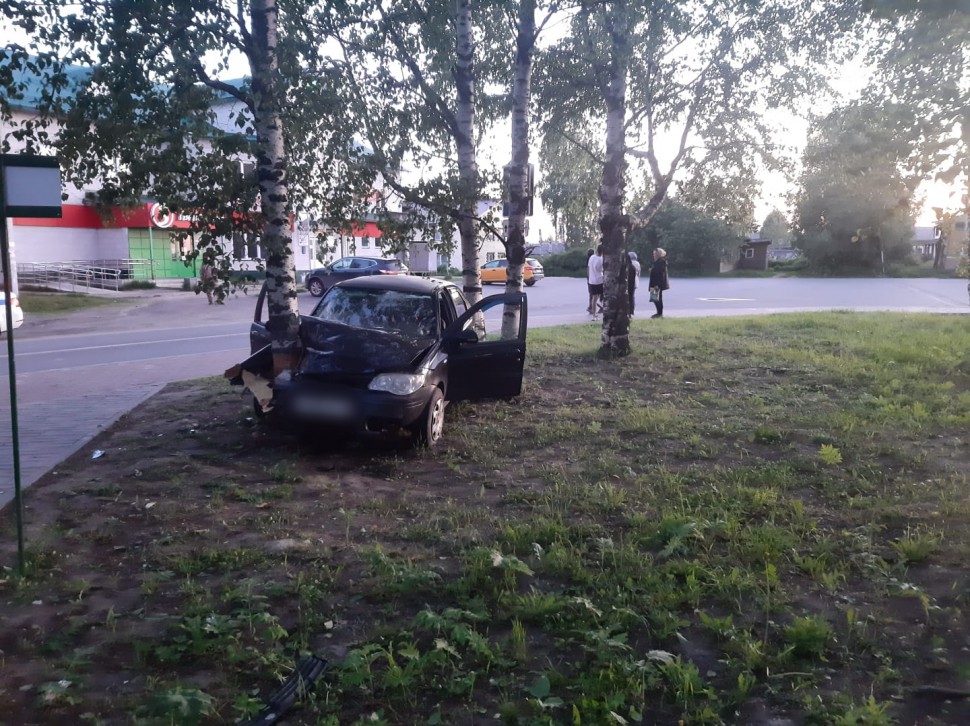 В Холмогорах пьяный водитель врезался в дерево